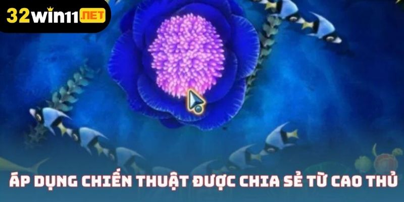 Áp dụng chiến thuật được chia sẻ từ cao thủ